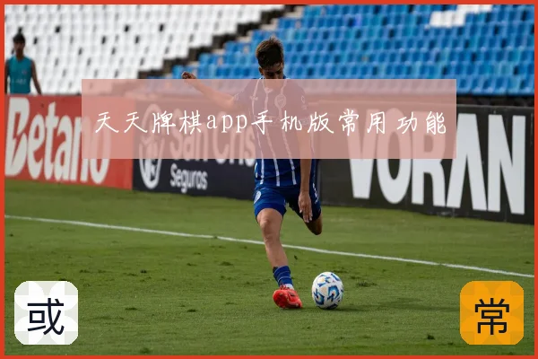 天天牌棋app手机版常用功能